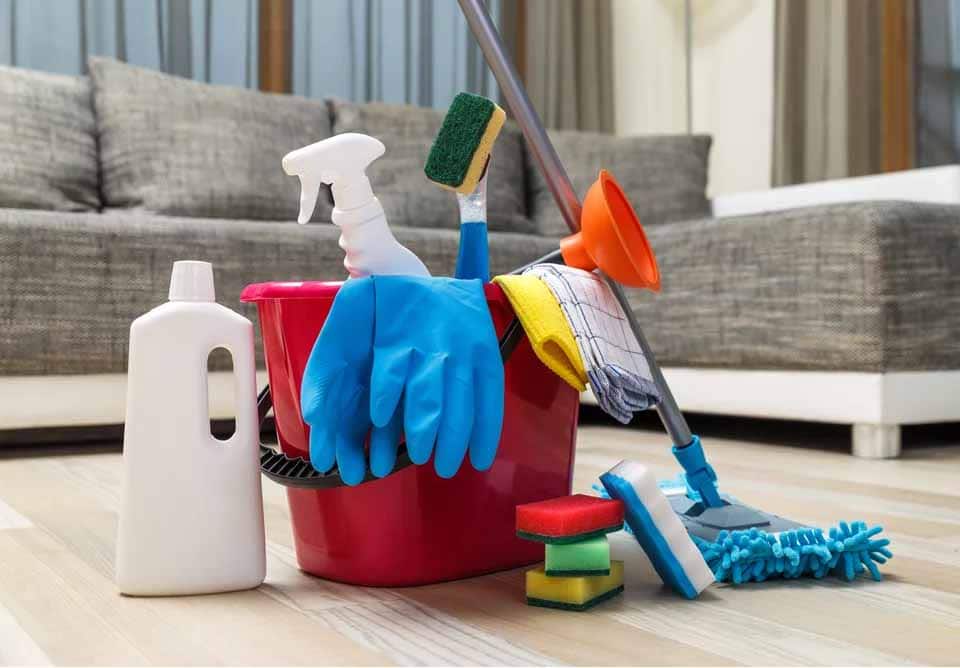 Implicações da equiparação dos serviços de dedetização a serviços de limpeza