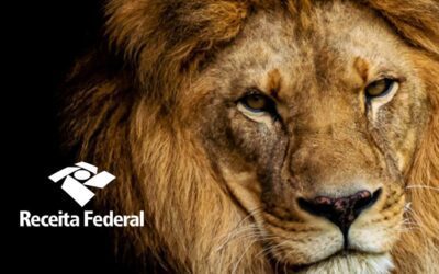 Receita Federal libera o programa do imposto de renda 2023 nesta quinta-feira (9/3)